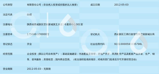 陜西省空港民航產(chǎn)業(yè)投資 機遇、路徑與戰(zhàn)略咨詢